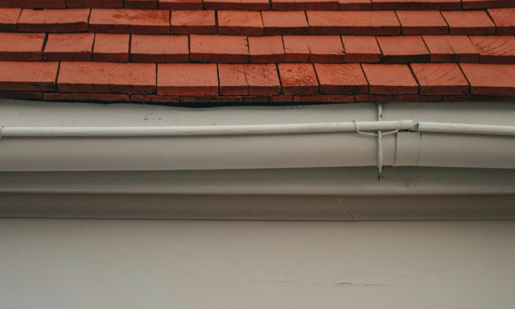 Clean Gutters for Memphis Homeowners